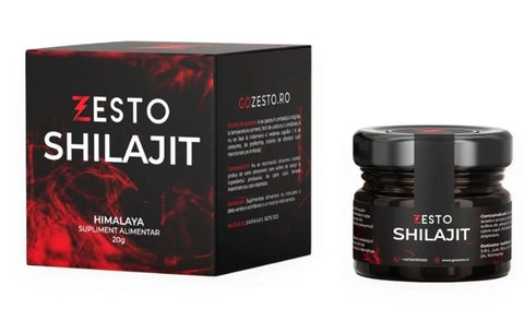 ZESTO HIMALAYAN SHILAJIT ΠΑΣΤΑ 20GR